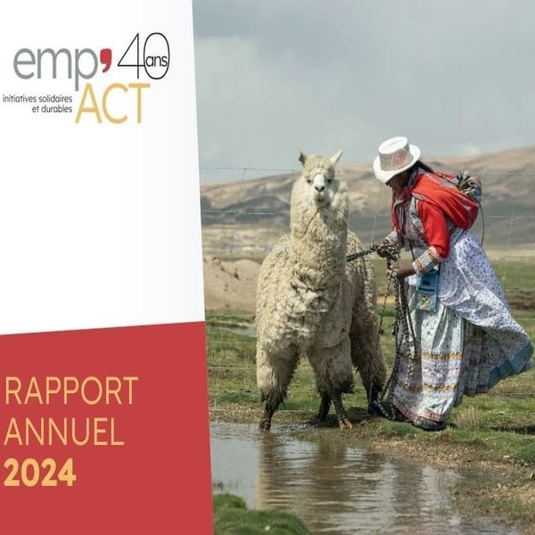 Rapport annuel 2024