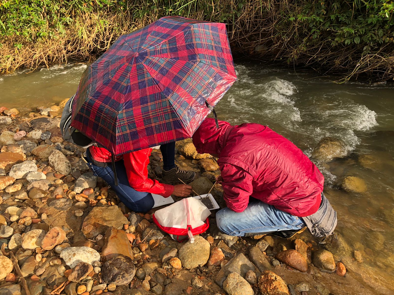 Parcours d’évaluation de la qualité de l’eau des rivières
