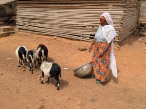 Eleveuse de caprins, Aguidagbadè,© GRADSE